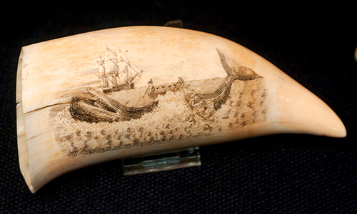 Mare da collezione:<br>una passione e un affare