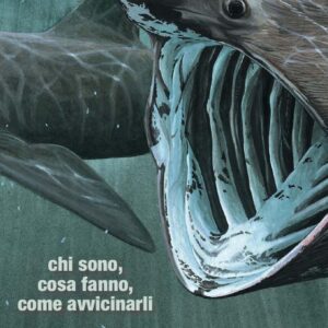 Squalo elefante, in Sardegna  sono stati avvistati 79 esemplari