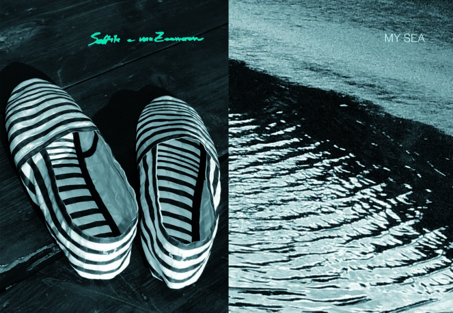 Camminare sull'acqua? È facile con le scarpe  leggerissime di Sottilevanzoomeren