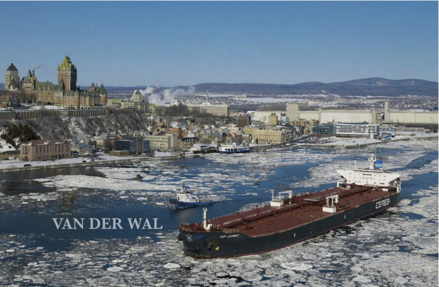 Onne van der Wal, il fotografo  che ha come obiettivo l'emozione