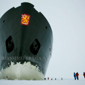 Un rompighiaccio sta per investirvi?  Mantenete il sangue freddo…