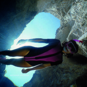 Foto di squali? Per farle occorre  saper nuotare come i delfini…