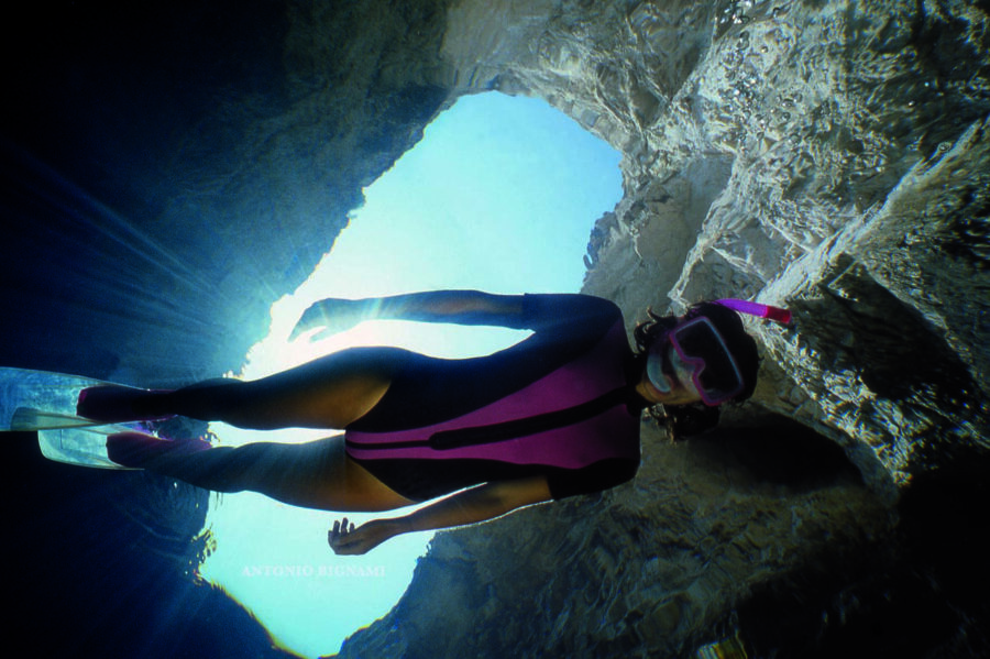 Foto di squali? Per farle occorre  saper nuotare come i delfini...