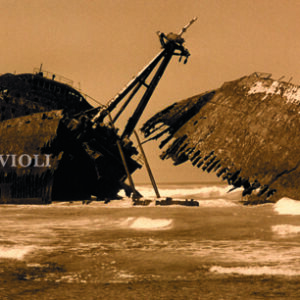 Relitti di giganti del mare insabbiati,  qui potete avvistare i loro scheletri