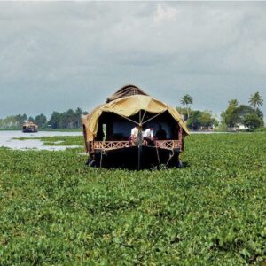 Houseboat? In India si chiamano  Kettuvallam e navigano nel Kerala