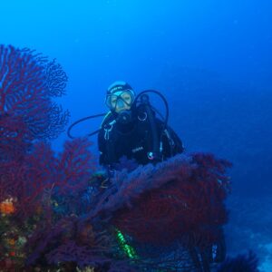 Pianosa apre ai sub, dal 17 luglio  il via alla scoperta dei fondali