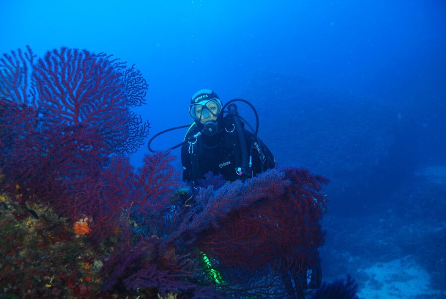 Pianosa apre ai sub, dal 17 luglio  il via alla scoperta dei fondali