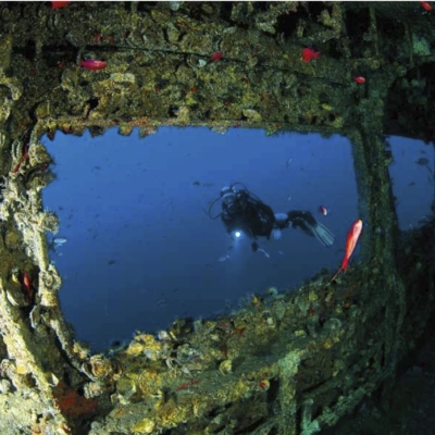 Sott'acqua accadono cose che voi  terrestri neppure immaginate...