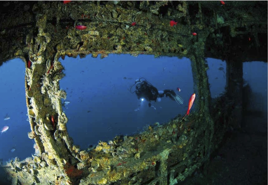 Sott'acqua accadono cose che voi  terrestri neppure immaginate...