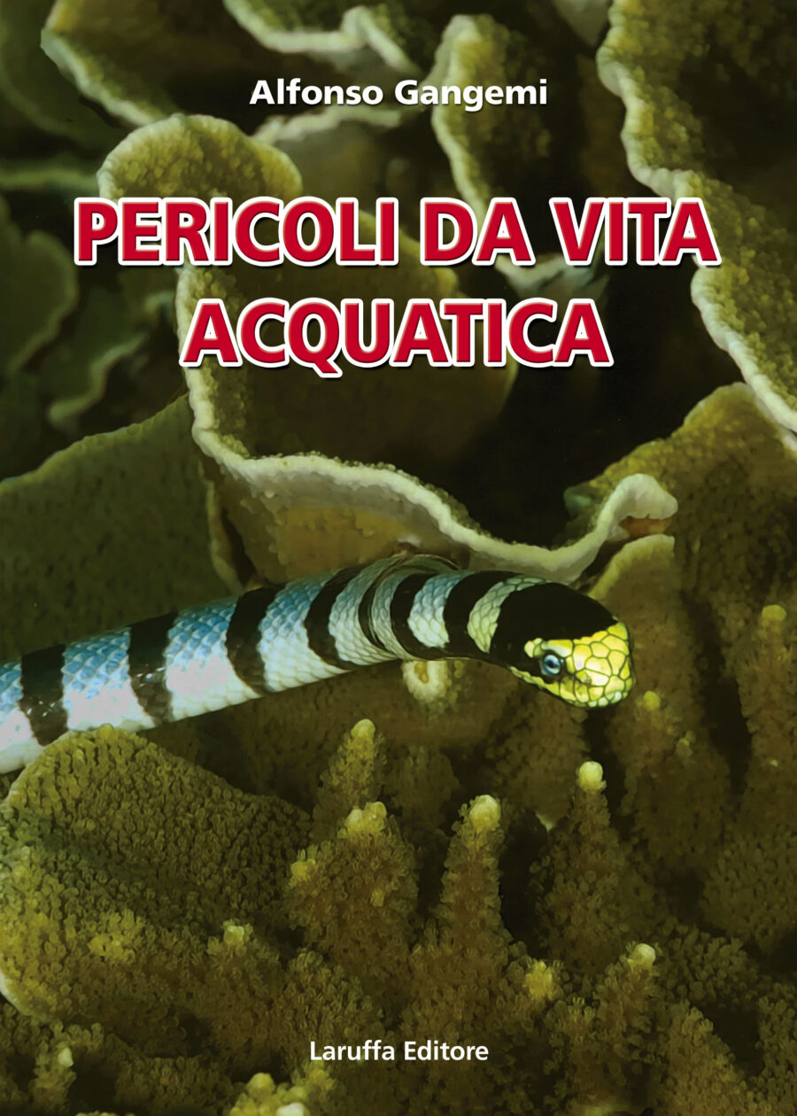 Il pericolo è sott'acqua, fra squali,  ma anche conchiglie, coralli, spugne