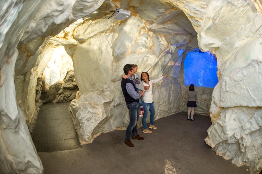 Navigare in Antartide è facilissimo,  basta andare a Genova...