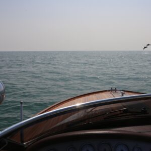 Delfini acrobati danno spettacolo  a due passi dal porto di Venezia