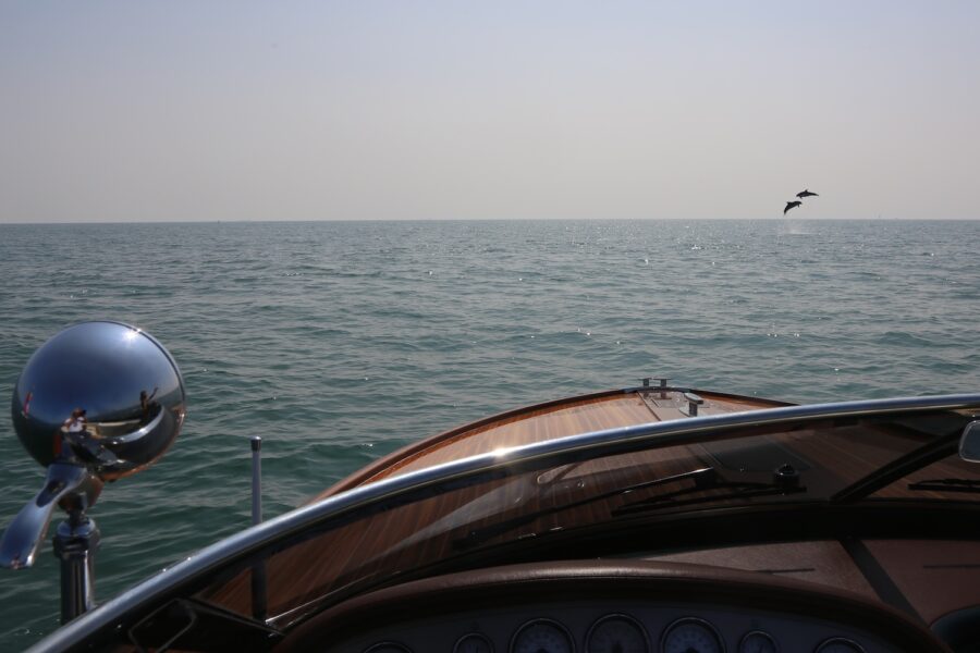 Delfini acrobati danno spettacolo  a due passi dal porto di Venezia