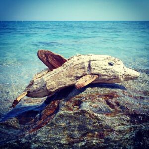 Unmaredaamare, duemila fotografi  si sono sfidati a colpi di click