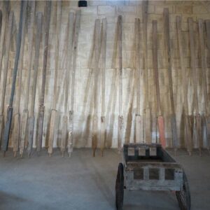 Tonnara di Favignana, qui pescate  le più incredibili storie di mare