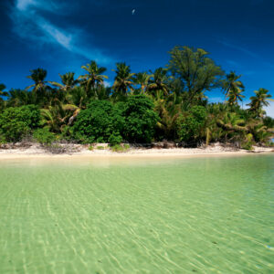 Isole Esterne, qui le Seychelles  espongono i coralli più belli