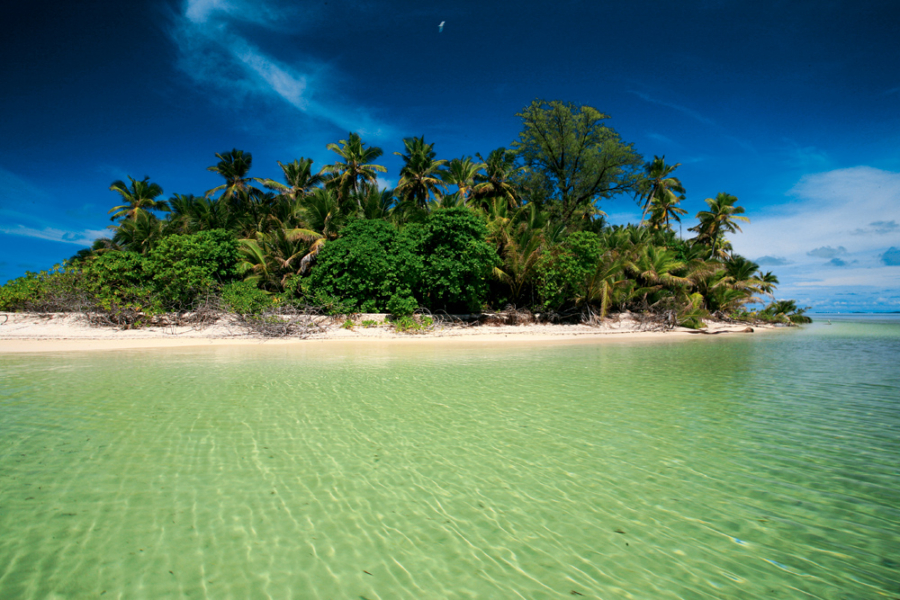 Isole Esterne, qui le Seychelles  espongono i coralli più belli