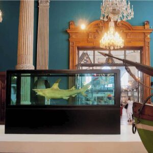 Museo oceanografico di Monaco, la favola  del mare raccontata dal Principato