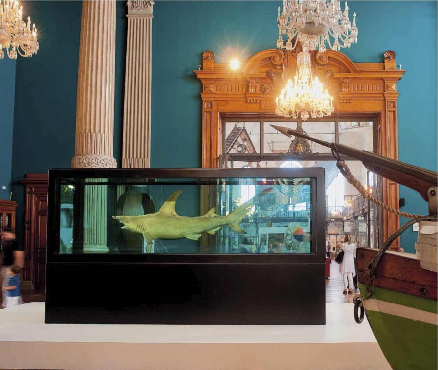 Museo oceanografico di Monaco, la favola  del mare raccontata dal Principato