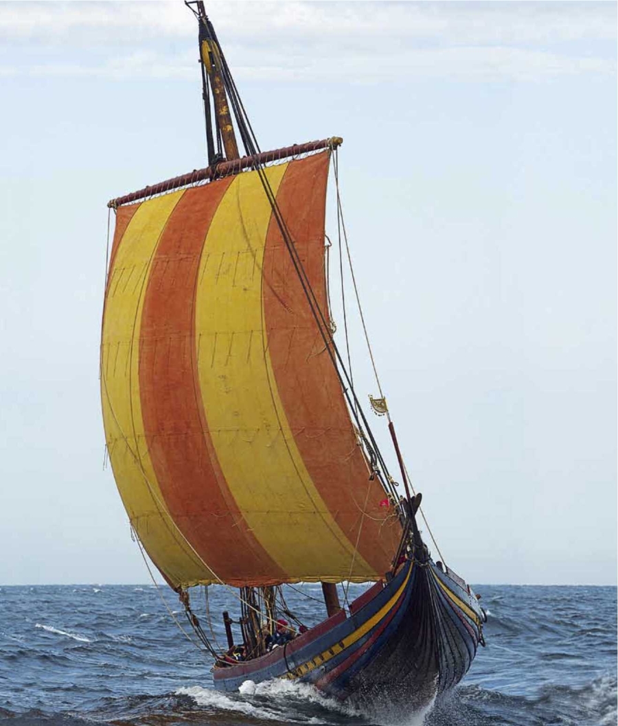 Vichinghi, i guerrieri che sbarcarono  in America 4 secoli prima di Colombo