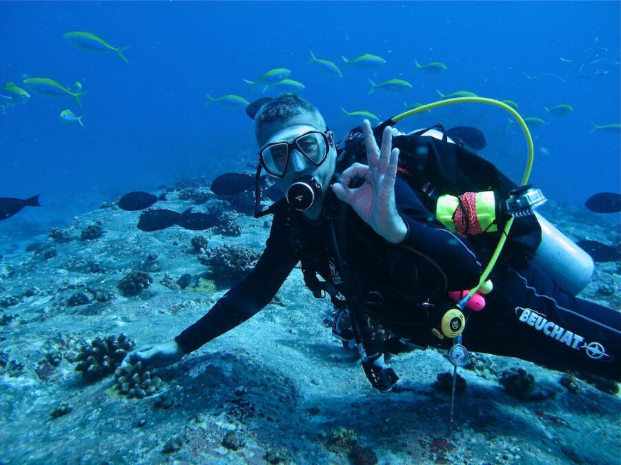 Crociera subacquea, per chi ama navigare sotto le Seychelles