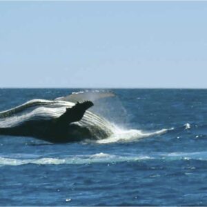 Isole Sottovento, il paradiso in terra esiste  ed è circondato da un mare paradisiaco