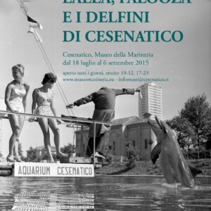 I delfini di Cesenatico nuotano ancora   nella mostra al Museo della Marineria