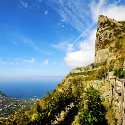 Tirreno e Ionio vi invitano a navigare  nello loro acque. Anzi, nei loro vini...