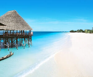 Safari in mare oltre che sulla terra  per chi ama andare a caccia d’emozioni