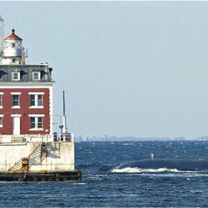 Abitare in mezzo al mare? Ecco le case  faro costruite come moderne palafitte