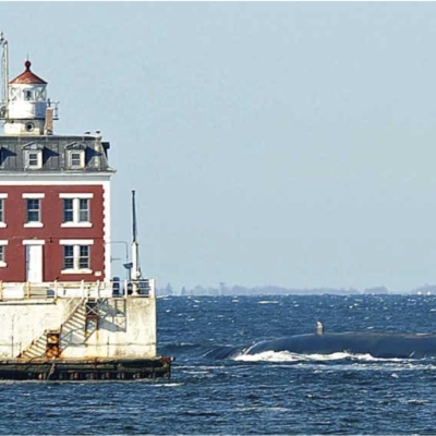 Abitare in mezzo al mare? Ecco le case  faro costruite come moderne palafitte