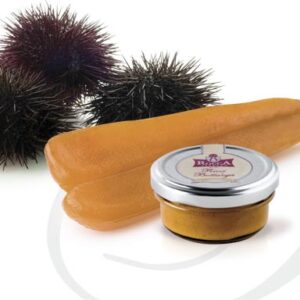 Polpa di ricci Stefano Rocca, la pasta  s’immerge in un mare di sapore…