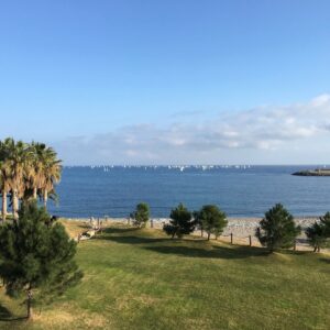 Oltremare è possibile scorgere barche  nuove e usate, regate, corsi, piatti di pesce…