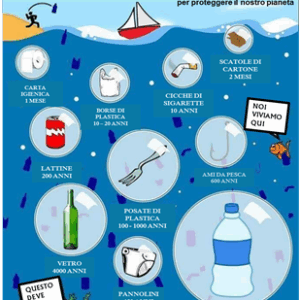 La sigaretta buttata in mare? Finirà  nel pesce e nei molluschi che mangeremo…