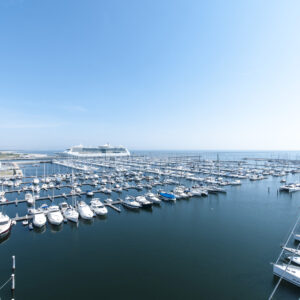 Porto di Ravenna, il ponte ideale per  navigare dall’Europa in un mare di mete