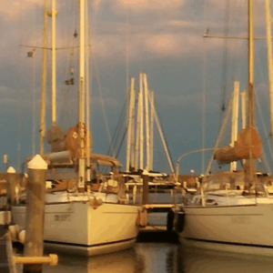 Dimmi in quale porto attraccherai e ti dirò  che servizi, ristoranti, negozi troverai