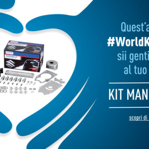 Il fuoribordo trattato con “gentilezza”  ha percorso 8000 chilometri senza problemi