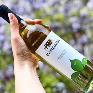 Catarratto, il vino venuto dal mare  che in barca si riconosce a occhi chiusi