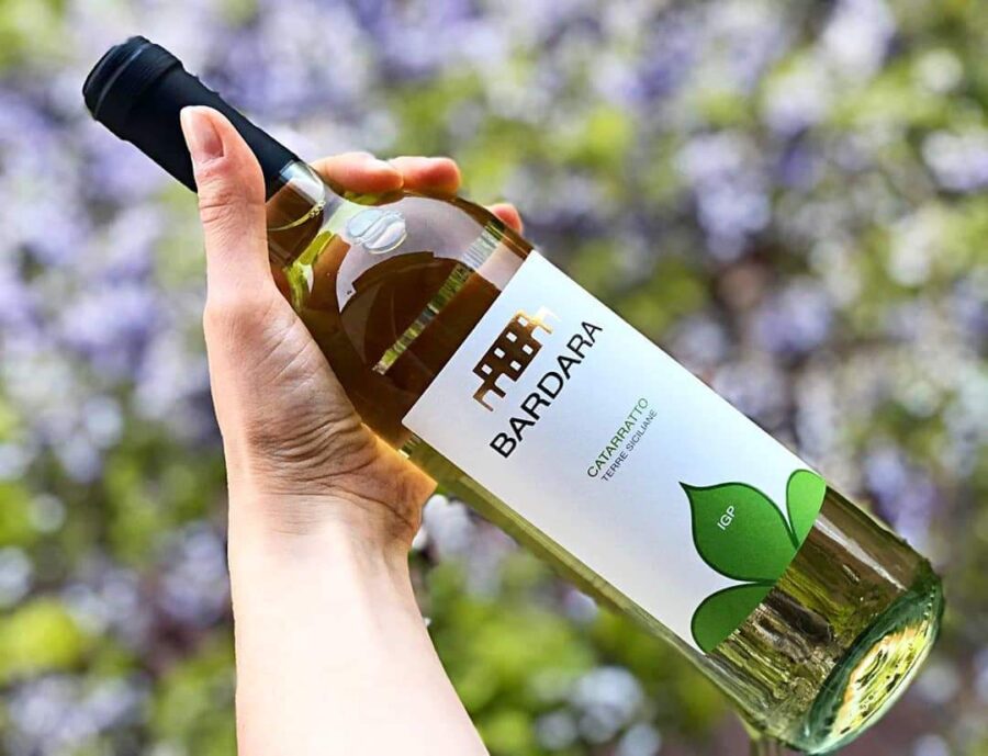 Catarratto, il vino venuto dal mare  che in barca si riconosce a occhi chiusi