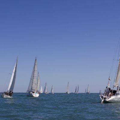 Chioggia Vela, una regata può indicare  la rotta per tornare alla normalità