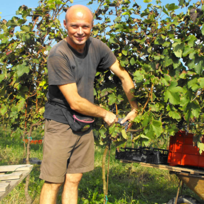 In cambusa trovate i migliori vini da bere.  Sull'acqua ma anche sulla terraferma