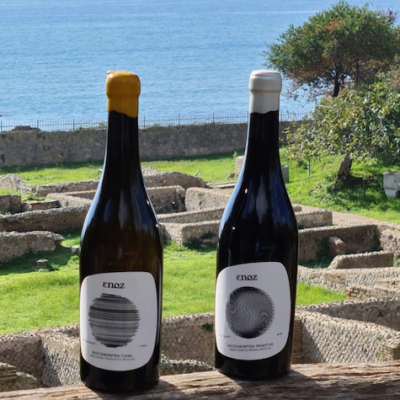 Enoz, dall'unione fra terra e mare  nasce il vino che rende felici