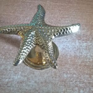 Maniglia stella marina, per spalancare   porte e finestre su un mare di fantasie