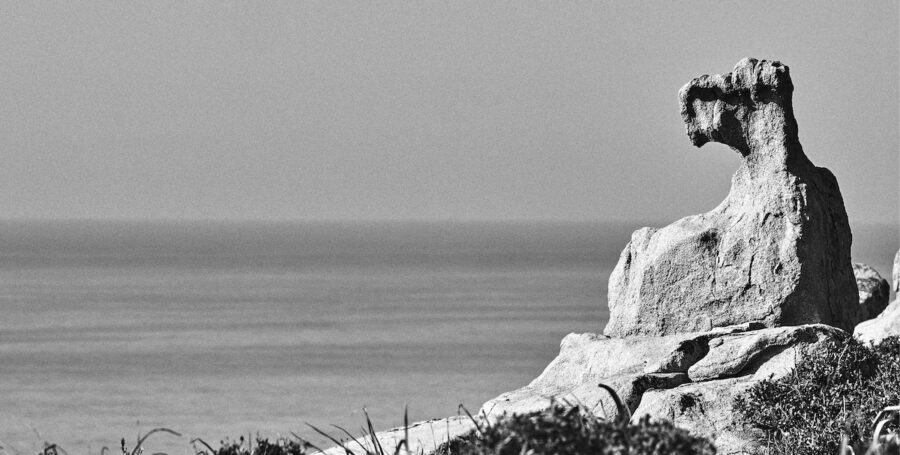 Giganteschi misteriosi animali si nascondono  fra le rocce a picco sul mare della Sardegna