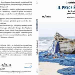Mari senza più pesci? Potrebbe accadere entro  30 anni se non cambiamo modo di mangiarlo