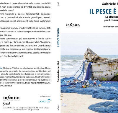 Mari senza più pesci? Potrebbe accadere entro  30 anni se non cambiamo modo di mangiarlo