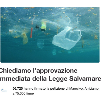 C'è un fiume di rifiuti che finisce in  mare. Ma possiamo fermarlo alla foce