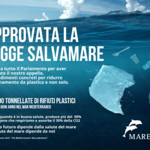 Legge Salvamare, difendere il polmone blu  del pianeta dalla plastica ora è meno difficile