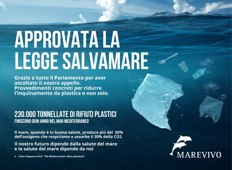 Legge Salvamare, difendere il polmone blu  del pianeta dalla plastica ora è meno difficile