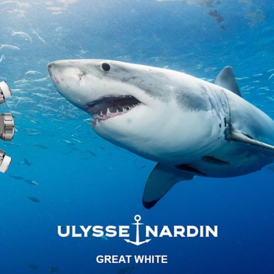 E' ora di salvare gli squali. E Ulysse Nardin  ce lo ricorda con l'orologio "Great White"